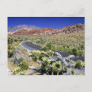 Search for conservatives postcards Usa