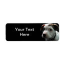 Search for pit bull return address labels Terrier