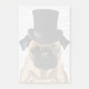 Search for pet pug Animal lovers