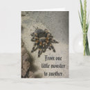 Search for tarantula cards Arachnid