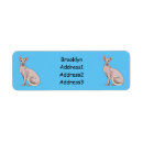Search for sphynx cat return address labels Pet