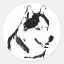 Search for malamute stickers Husky