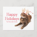Search for tabby christmas cards Domestic cat