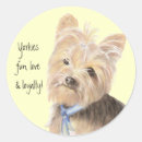 Search for yorkie dog stickers Yorkies