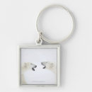 Search for confrontation key rings Animal
