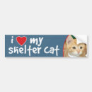 Search for i love cats bumper stickers Feline