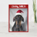 Search for red cap cards Dog