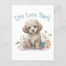 Search for is your mum postcards Kids