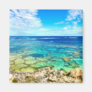 Search for azur magnets Sea