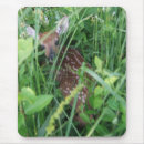 Search for does mousepads Animals