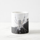 Search for spiders mugs Spider webs