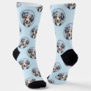 Search for blue mini clothing Dog