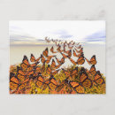 Search for gatherings postcards Celebration