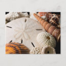 Search for miller postcards Coral