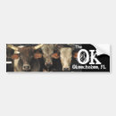 Search for bull bumper stickers Cattle