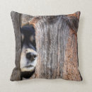 Search for german shepherd cushions Cute