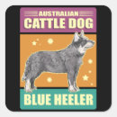 Search for australian cattle dog stickers Heeler