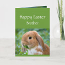 Search for happy brother easter cards Rabbit