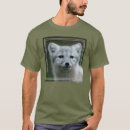 Search for kit photography Fox