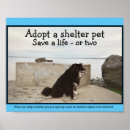 Search for adoption art Shelter