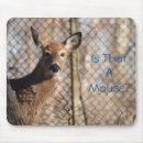 Search for whitetail mousepads Wildlife