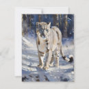 Search for snow leopard cards Wildlife