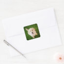 Search for golden smile stickers Cute