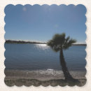 Search for san diego coasters Beach