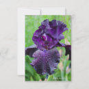 Search for iris flower note cards Flowers