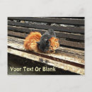 Search for nap postcards Sleepy