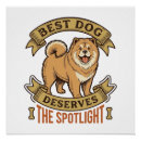 Search for chow puppy posters Wolf