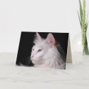 Search for profiling cards Feline