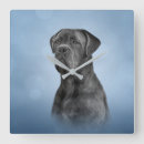 Search for cane corso art Breed