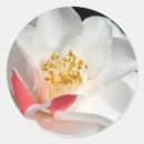 Search for camellia stickers Floral