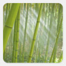 Search for sunlight stickers Outdoor