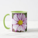 Search for eastern cape mugs Gallo images