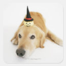 Search for individuality stickers Animal