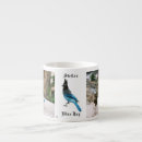 Search for blue jay mugs Animal