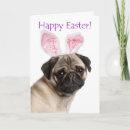 Search for pug easter cards Rabbit