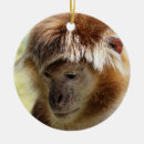 Search for cute monkeys christmas tree decorations Animal