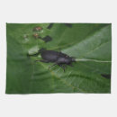 Search for stag tea towels Animal