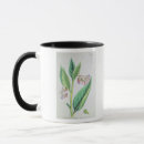 Search for commons mugs Flower