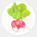 Search for radish stickers Vegetables