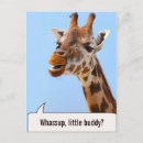 Search for funny giraffes postcards Portrait