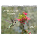 Search for ornithology photography Nature