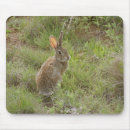 Search for cottontail mousepads Bunny