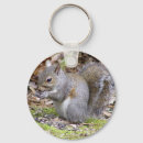 Search for digital animals round key rings Wild