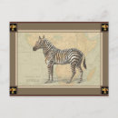 Search for safari jungle postcards Zebra