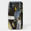 Search for amphibian cases Animal