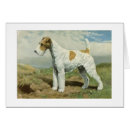 Search for wire fox terrier postcards Animals